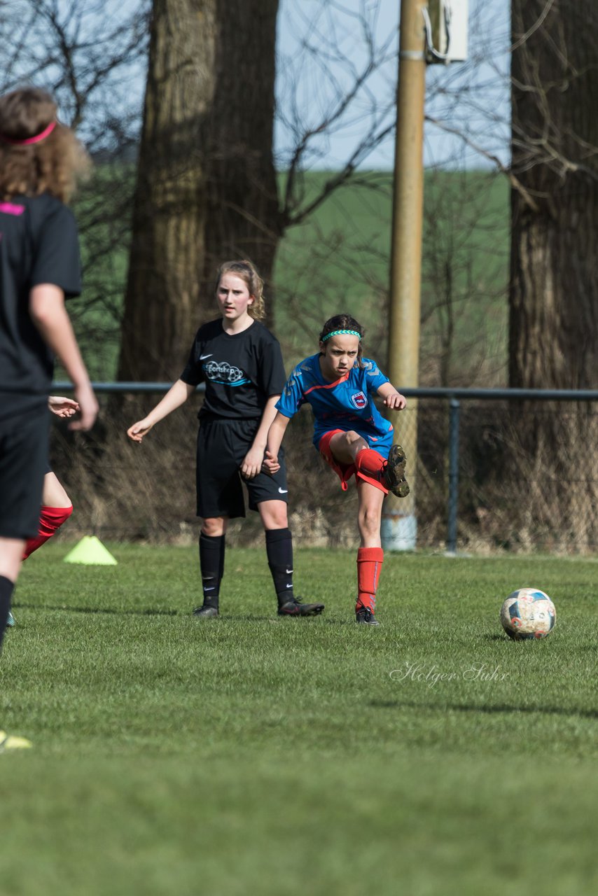 Bild 51 - C-Juniorinnen SV Steinhorst/Labenz - TSV Friedrichsberg-Busdorf : Ergebnis: 5:0